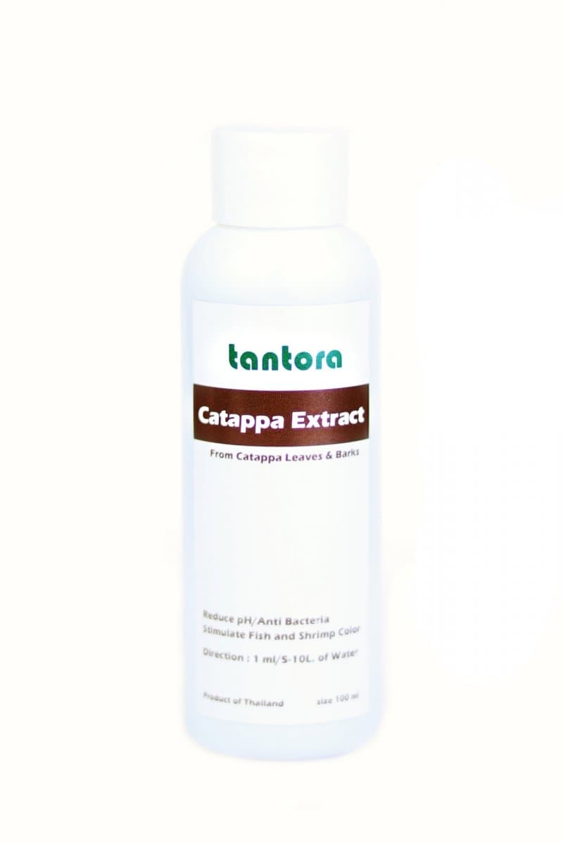 Tantora Cattapa Extract 100ml wyciąg z ketapangu